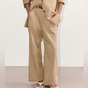 Everlane Pleated Pant